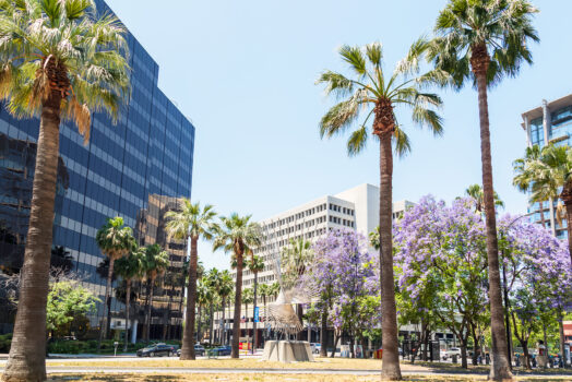 Podcast: California Cities Attract Business with TeamCalifornia